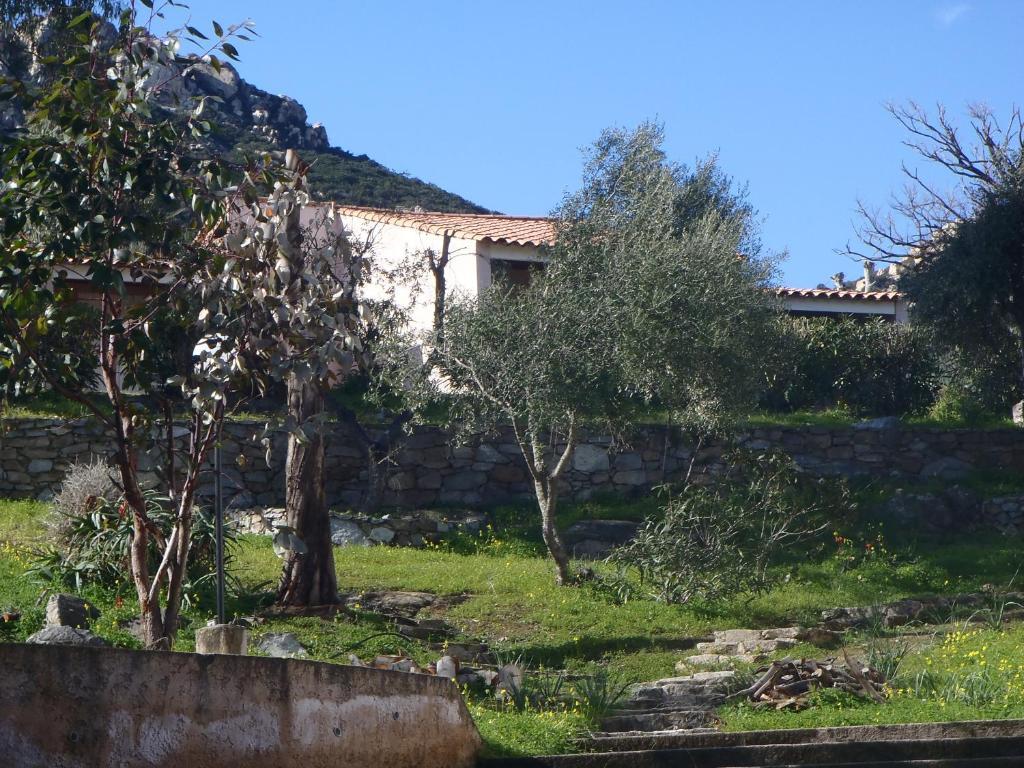 Cala Di Sole Aparthotel Algajola  Buitenkant foto